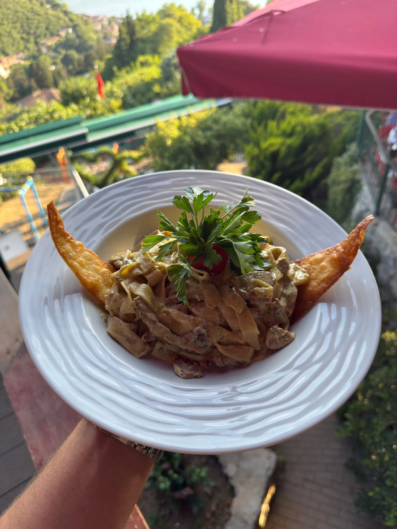 Etli Fettucini Alfredo